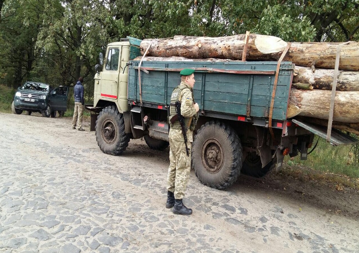 Луцькі прикордонники затримали вантажівку з незаконною деревиною