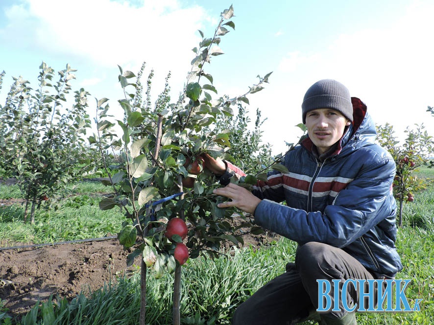 Тарас КМІН біля молоденької яблуньки