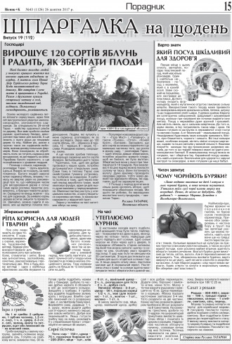Сторінка № 15 | Газета «ВІСНИК+К» № 43 (1126)