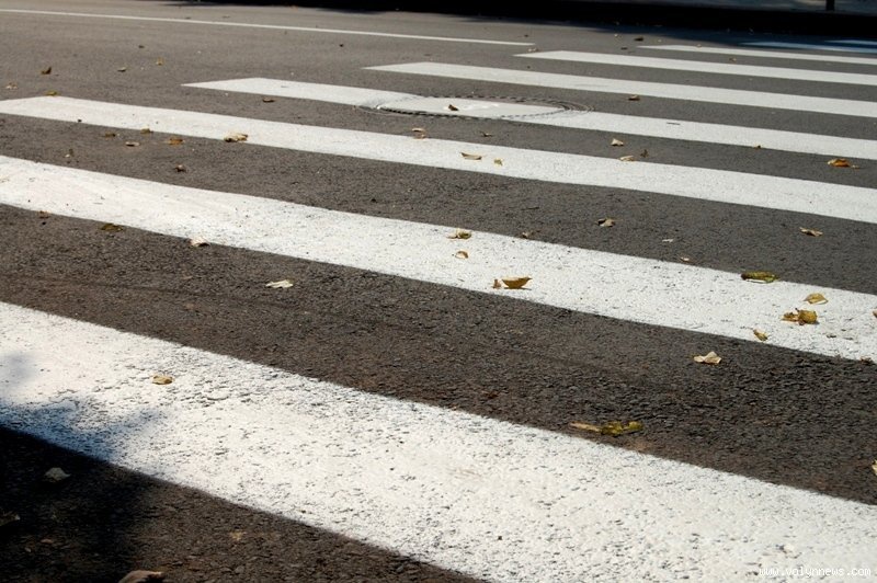 У Луцьку водії не зважають на права пішоходів на «зебрі»