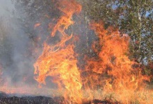 В Україні різко збільшать штрафи за спалювання рослинних відходів