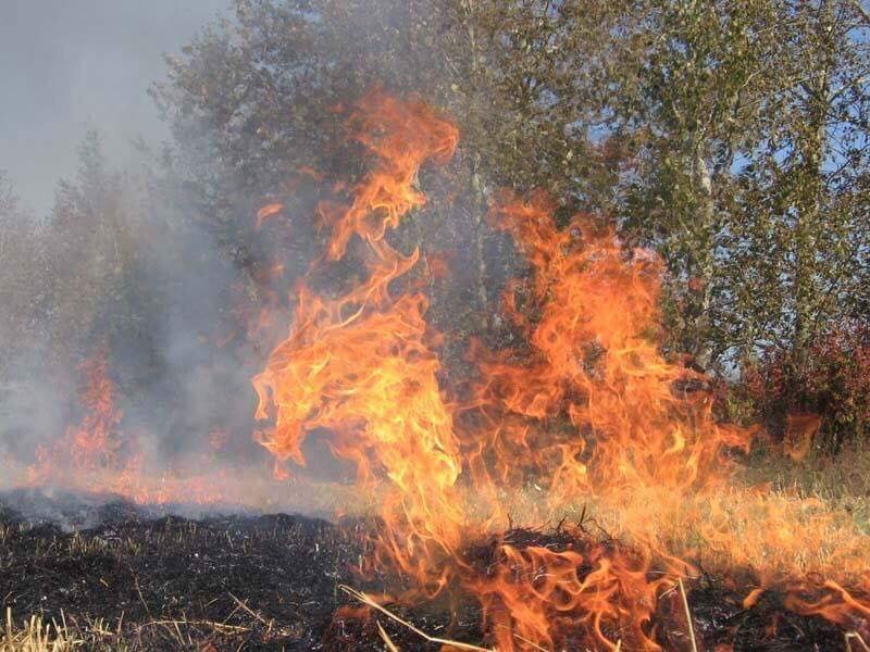 В Україні різко збільшать штрафи за спалювання рослинних відходів