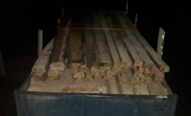 На Рівненщині поблизу кордону затримали вантажівку з деревиною