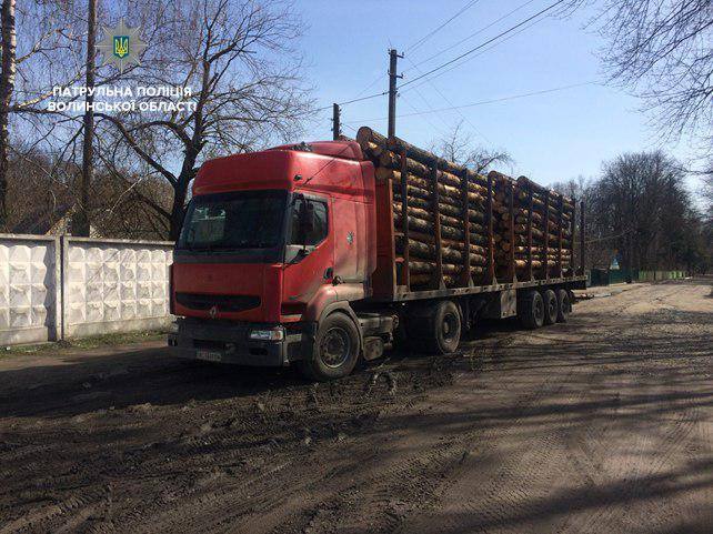На водія вантажівки винесли постанову за перевезення деревини з перевищенням габаритів
