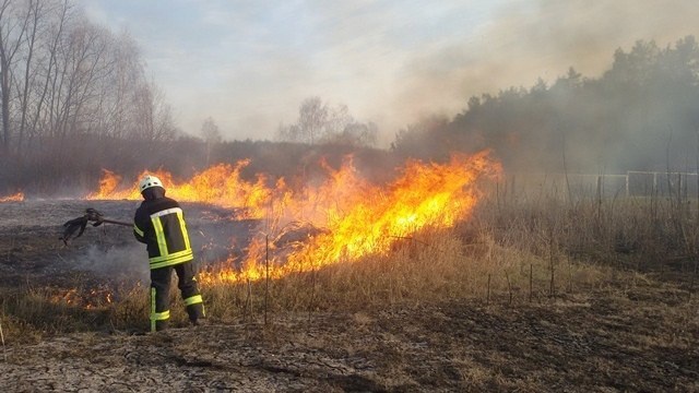Львівщина палала у вогні