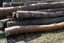 Крадену деревину виявлено на приватних пилорамах