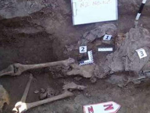 На Житомирщині знайдено останки чотирьох загиблих солдатів