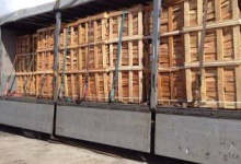 Волинські митники завадили підприємцю незаконно експортувати дрова у Євросоюз