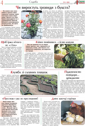 Сторінка № 10 | Газета «ВІСНИК+К» № 19 (1154)