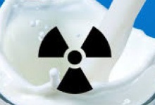 У деяких районах Рівненщини виявили радіоактивне молоко
