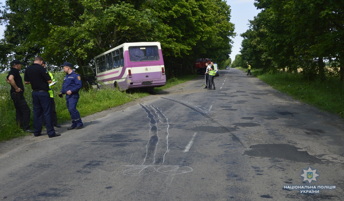 На Волині в ДТП постраждали семеро пасажирів автобуса
