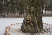 Волинські лісівники продовжили вік 150-літньому дубові оригінальною скульптурою
