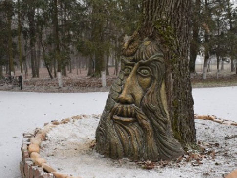 Волинські лісівники продовжили вік 150-літньому дубові оригінальною скульптурою
