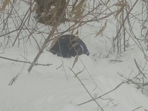 У Луцьку зі снігу відкопали обмороженого чоловіка