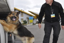 Волинським прикордонникам  допомогли виявити наркотики  службові собаки