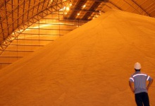 Волинян запрошують до участі у програмі закупівель зерна майбутнього врожаю