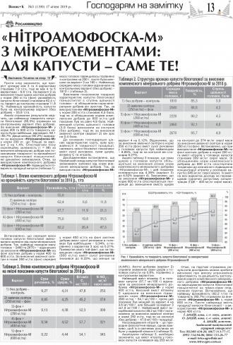 Сторінка № 13 | Газета «ВІСНИК+К» № 03 (1190)