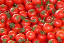 В Україну не пропустили понад 35 тонн заражених помідорів з Туреччини