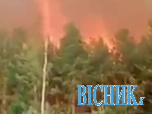 На Рівненщині  горить один з найбільших заповідників в Україні