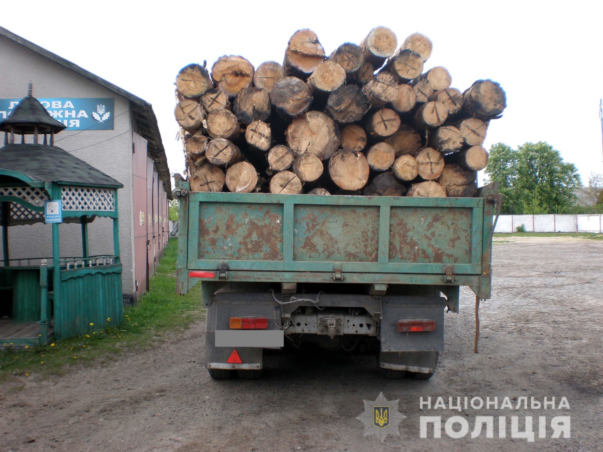 На Дубровиччині поліцейські вилучили у жителів Рокитнівщини 15 кубів незаконної деревини