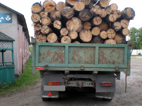 На Дубровиччині поліцейські вилучили у жителів Рокитнівщини 15 кубів незаконної деревини