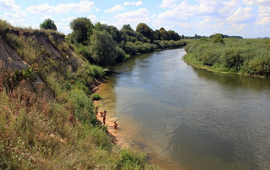У Луцьку в річці Стир вода не придатна для купання