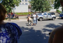 Дитина, яку збили у Луцьку на переході, перебуває у реанімації