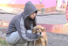 У Хмельницькому собака допомоміг врятувати людей з пожежі