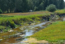 На Волині річка перетворюється у болото