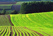 Ринок землі в Україні відкриють 1 жовтня 2020 року