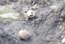 На Волині знайшли рештки тіл 4 людей