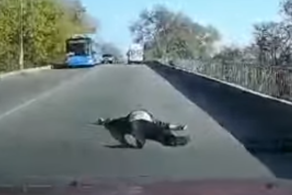 На Дніпропетровщині зі «швидкої» під час руху випав пацієнт