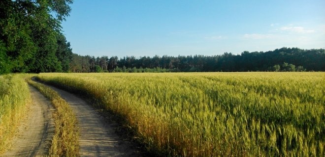Скільки гектарів землі можна буде купити в Україні у одні руки