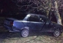 На Волині п'яний водій збив жінку і врізався в дерево