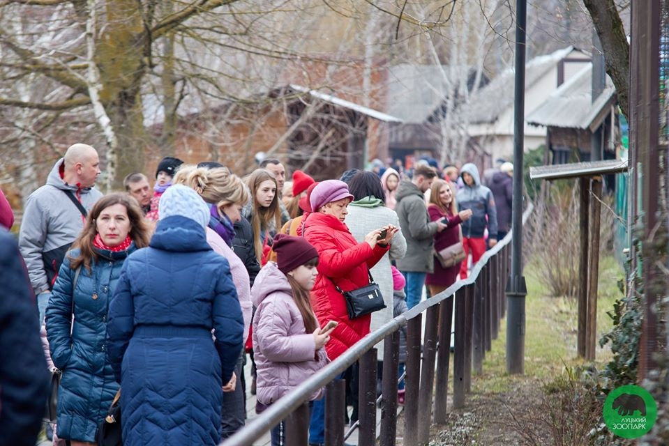 Понад 4 тисячі жінок відвідали Луцький зоопарк на 8 березня