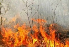 Львів’янка загинула під час спалювання трави