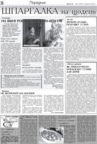 Сторінка № 16 | Газета «ВІСНИК+К» № 11 (1250)