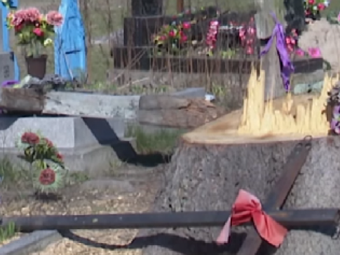 На Волині на цвинтарі під час зрізування дерев понищили могили
