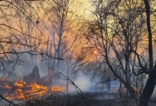 Згоріли 12 сіл: у Чорнобильській зоні вогонь знищує усе на своєму шляху