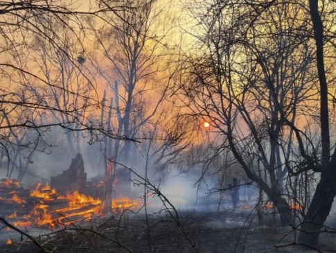 Згоріли 12 сіл: у Чорнобильській зоні вогонь знищує усе на своєму шляху