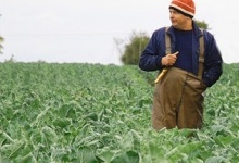 Українські фермери змушені викидати усе вирощене на продаж
