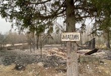 Постраждавші від пожеж на Житомирщині потребують допомоги