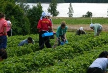 До Фінляндії полетів перший спецрейс з заробітчанами для аграрних робіт