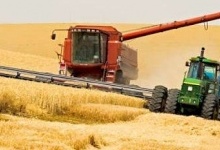 На комбайни українських аграріїв встановлять лічильники зерна