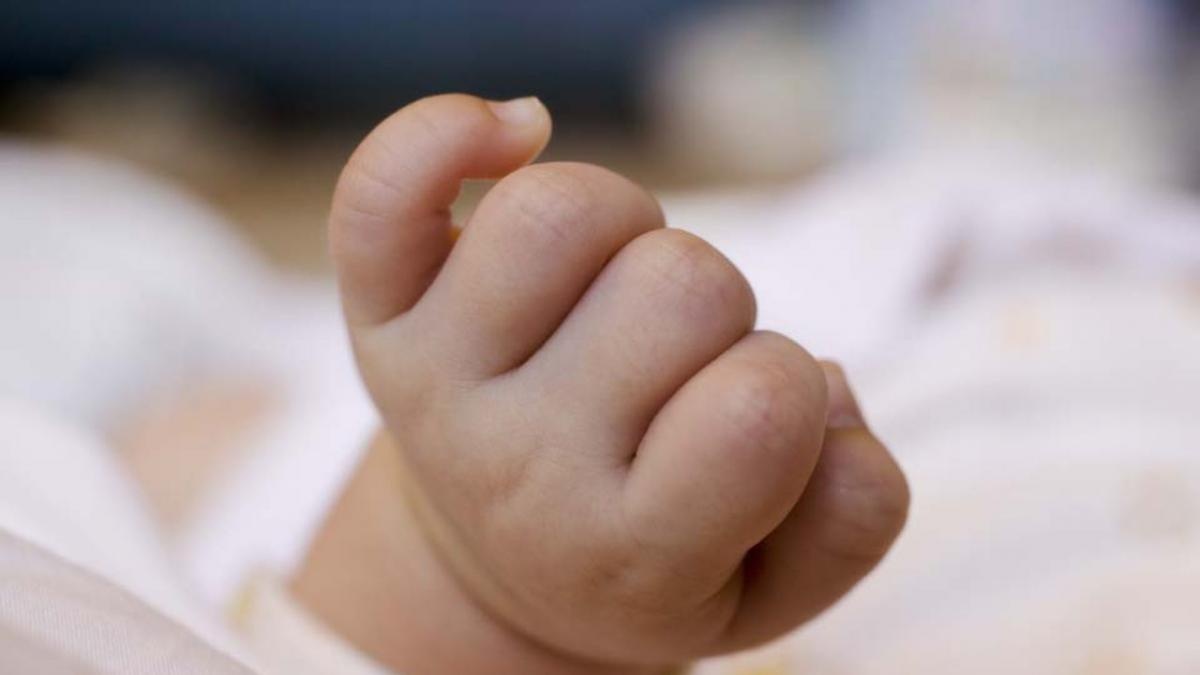 На Дніпропетровщині у лісозмузі знайшли немовля у коробці