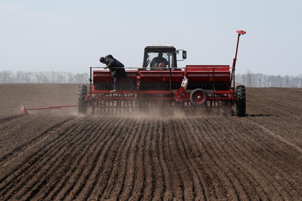 Українським фермерам обіцяють компенсації за втрату посівів через посуху