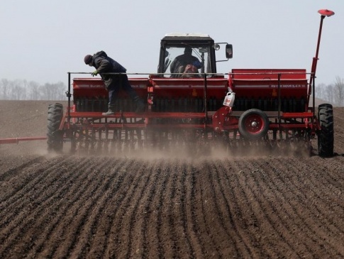 Українським фермерам обіцяють компенсації за втрату посівів через посуху