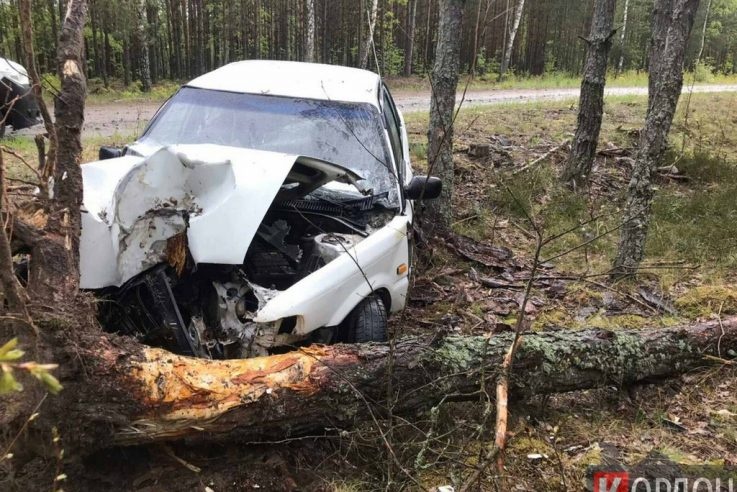 На Волині авто злетіло з дороги та в'їхало в дерево: є постраждалі