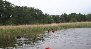 У Польщі у озері знайшли мертвими двох укранців