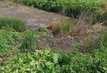 В ОТГ біля Луцька нечистоти зливають прямо на поля